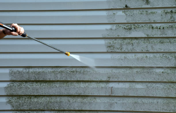 Mold Testing and Removal in American Canyon, CA