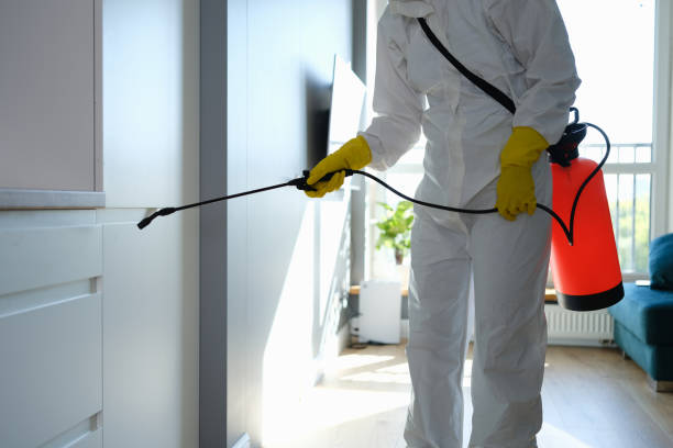 Best Office Mold Removal Services  in Amerin Nyon, CA