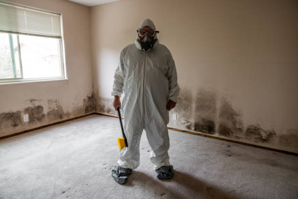 Best Residential Mold Removal  in Amerin Nyon, CA
